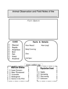 animal-field-guide-template