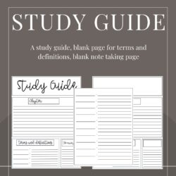 college-study-guide-template