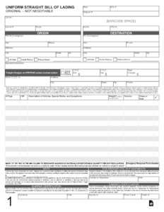 carrier-bill-of-lading-template